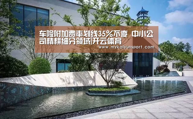 开云体育