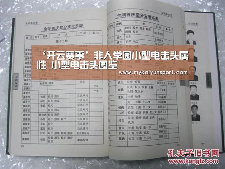 ‘开云赛事’非人学园小型电击头属性 小型电击头图鉴(图1) 开云平台