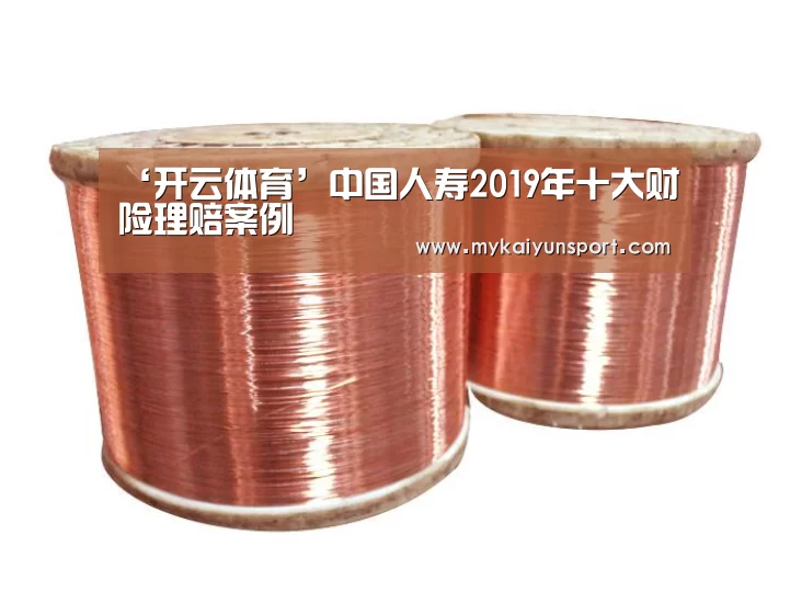 ‘开云体育’中国人寿2019年十大财险理赔案例(图4) 开云赛事
