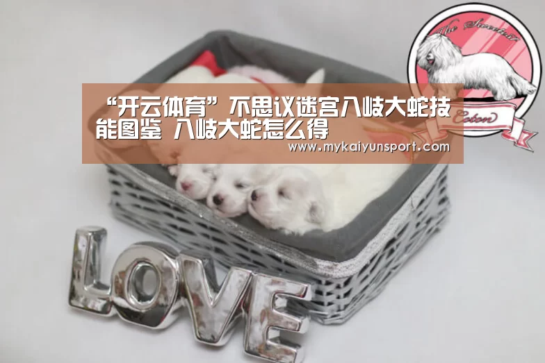 “开云体育”不思议迷宫八岐大蛇技能图鉴 八岐大蛇怎么得(图2) 开云平台