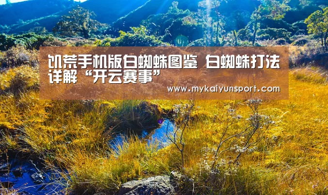 饥荒手机版白蜘蛛图鉴 白蜘蛛打法详解“开云赛事”(图2) 开云平台