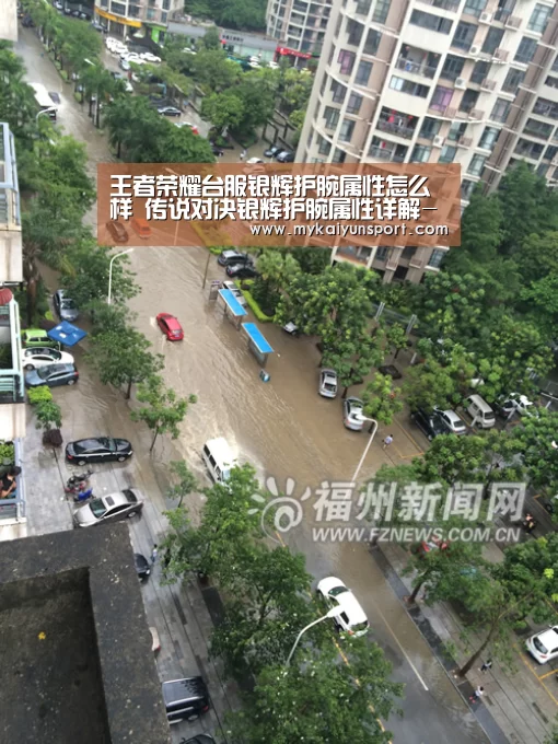 王者荣耀台服银辉护腕属性怎么样 传说对决银辉护腕属性详解-开云体育(图2) 开云体育