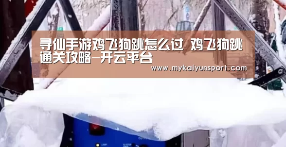 寻仙手游鸡飞狗跳怎么过 鸡飞狗跳通关攻略-开云平台(图2) 开云平台